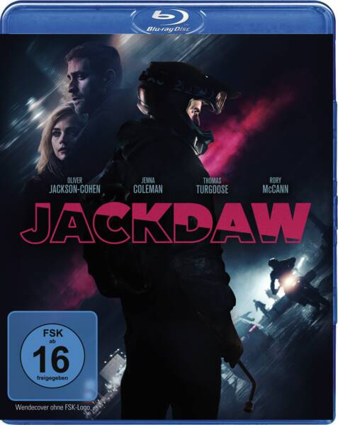 Jackdaw