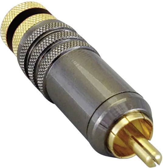 BKL Electronic 0101020 Cinch-Steckverbinder Stecker, gerade Polzahl: 2 Schwarz 1 St.