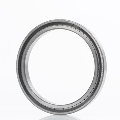 INA - Zylinderrollenlager SL185028 C3